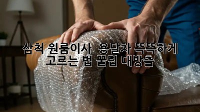 삼척 원룸이사 🚚 용달차 똑똑하게 고르는 법! 꿀팁 대방출 🍯